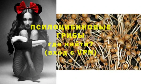 молекула духа Корсаков
